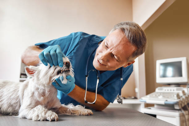 Best Emergency Tooth Extraction in Smiths Station, AL